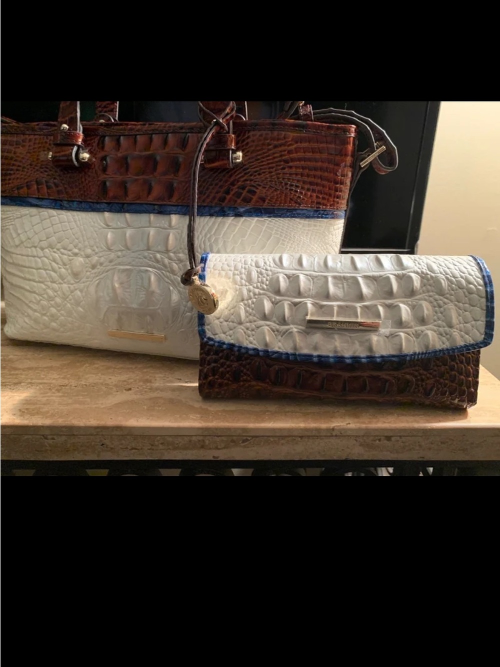 NWT Brahmin Medium Asher Handbag and  Checkbook Wallet